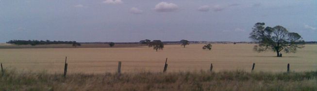 Woorak skyline.jpg Woorak skyline.jpg